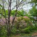 자뭇골공원 이미지