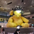 혁신온천 터닝포인트짐 | 겨울 유럽 여행 준비물 리스트 꼭 챙겨야 할 필수템 총정리