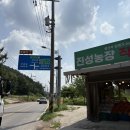 진성농장 | 여름방학 제철과일 경기광주 진성농장 직판장에서 내돈내산 복숭아 득템했어요
