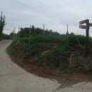 가대 농장 | 성안옛길 2코스 사전답사 후기