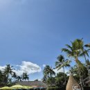 달록비치 이미지