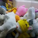 푸쉬푸쉬 뽑기방 이미지