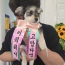 멍끌레르 이미지