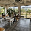 태인 애견 이미지