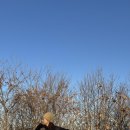 원주굽이길 9코스 스무산둘레길 이미지