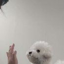 아지스테이션 이미지