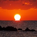 해뜨는 아침 이미지