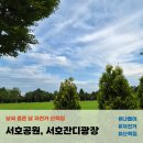 낙원자동차유리 | 주말 저녁 서호공원, 서호잔디광장 자전거 산책