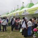 [다이음] 도시농업과 치유원예 | 부산도시농업박람회 대저생태공원에서 열려요, 체험 프로그램 가는법까지