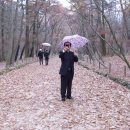 진순2호 이미지