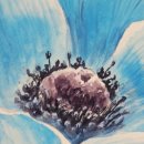 수채화로 그리는 세상 이미지