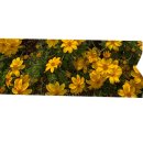 유앤미공인중개사사무소 이미지