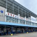 속초 동명항 회센터 그리고 오징어 난전 방문 후기 오징어 시세