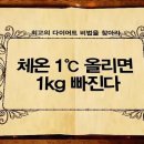 쉽게하는다이어트 - 포천시 가산로309번길 1 | 쉽게하는다이어트