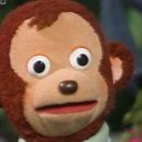 하이댕댕 이미지