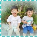 세준푸드 농업회사법인 주식회사 이미지