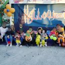 숲아띠어린이집 이미지