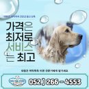 대성목욕탕 이미지