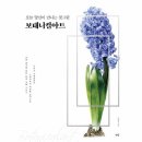 당신의 꽃그림, 보태니컬 아트 이미지