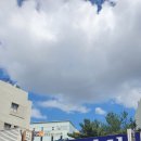 대성약업사 이미지