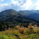 에코앤그린 이미지