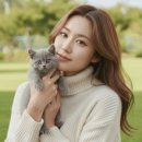 펫퍼스트 24시 강아지분양 고양이분양 이미지