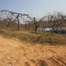 장록보건진료소 이미지