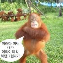 동성제약노동조합 | 2월