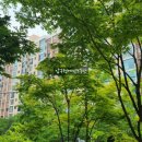 압구정-112 이미지