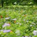 바람길소공원 이미지