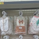 푸르댕 2산단점 이미지