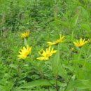 이상우 농장 이미지