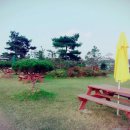 종일사슴 이미지