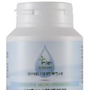 정균농장 | 조류독감(AI)과 김치유산균