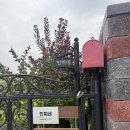 동물사랑애견의집 | 속초 애견동반 독채펜션 스테이민찌네 내돈내산 후기 (설악산·울산바위뷰)