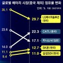 美-中 ‘IRA 우회’ 제휴… 뒤통수 맞은 K배터리 이미지