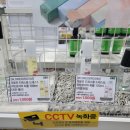 와이케이 더블유 네이버블로그