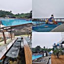 화순리마을회 | 제주도 화순 금모래 해수욕장 제주 해변 어린이 물놀이 용천수 담수풀장