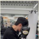 퍼블릭 복싱 이미지