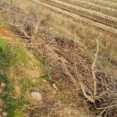 종경농장 이미지