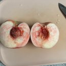 이례농장 이미지