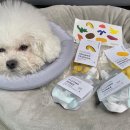 올데이올가닉 이미지