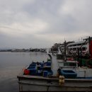 주문진항 이미지