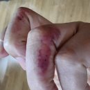 하구둑약국 이미지