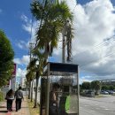 여주-0328 | [오키나와] 🇯🇵 겨울 오키나와 가족여행 준비 총정리 ✈️ : 날씨, 교통, 관광지, 음식, 쇼핑 (feat. 가족...