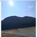 강변펜션 | 청정 자연 힐링과 깔끔한 조경 돋보인 청도강변돌고래펜션 후기