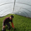 육동시장 이미지