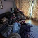 다미민박 이미지