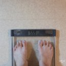 세우티 | 광주 다이어트 주사 팔뚝 지방분해주사 복부 제로팻 후기 4회차