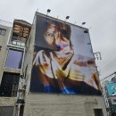 2023년 11월 일상ㅣ머글인데 살짝의 덕질을 곁들인